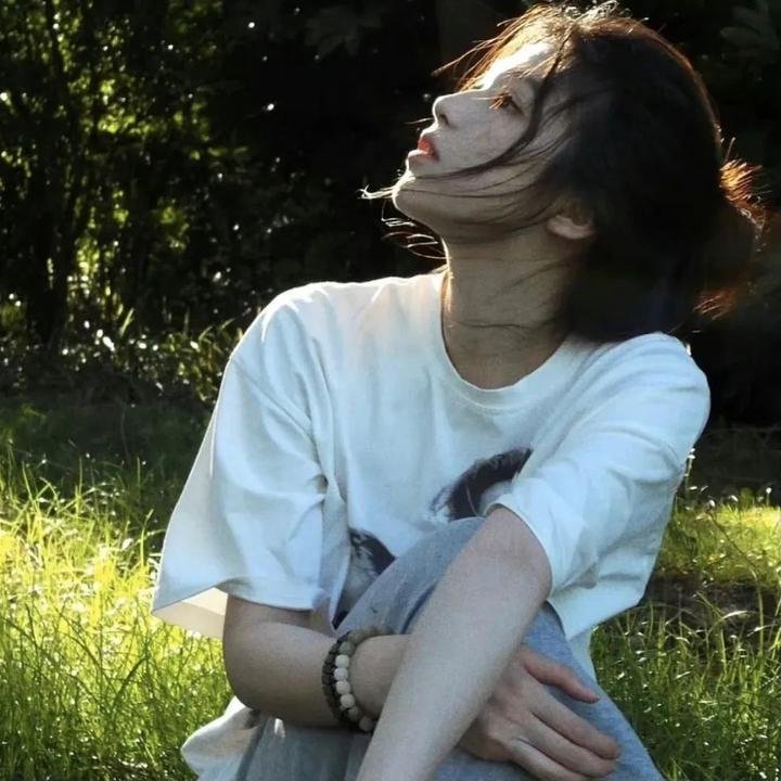 风葵的夏日物语